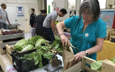 MAS ALLÁ DE SER “OTRA FORMA DE COMERCIALIZACIÓN, ES REALMENTE CAMBIAR EL MODELO DE NUESTRA FORMA DE VIDA” ¿QUÉ ES UNA AMAP?