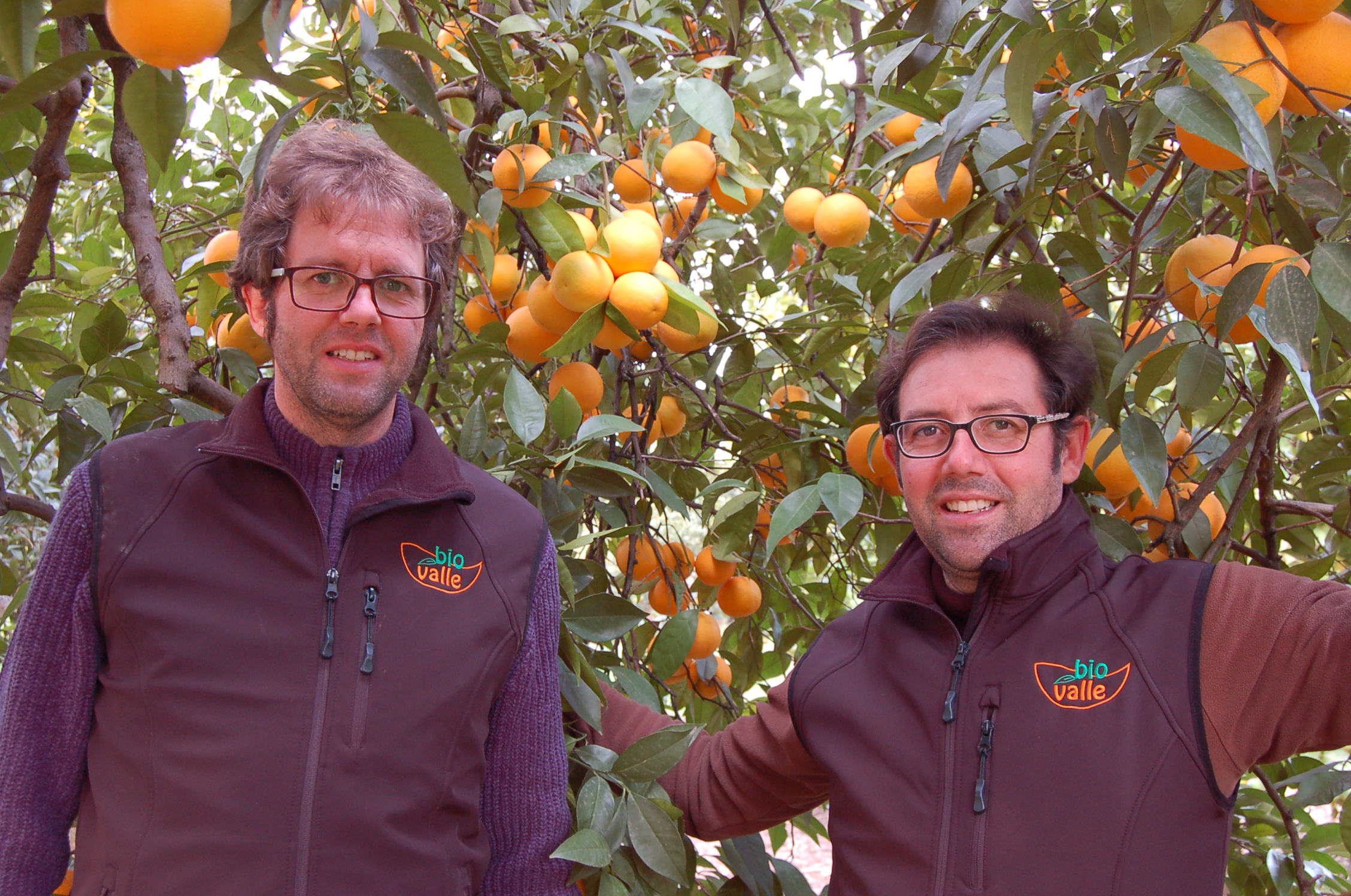 Juan y César- Naranjas Ecológicas