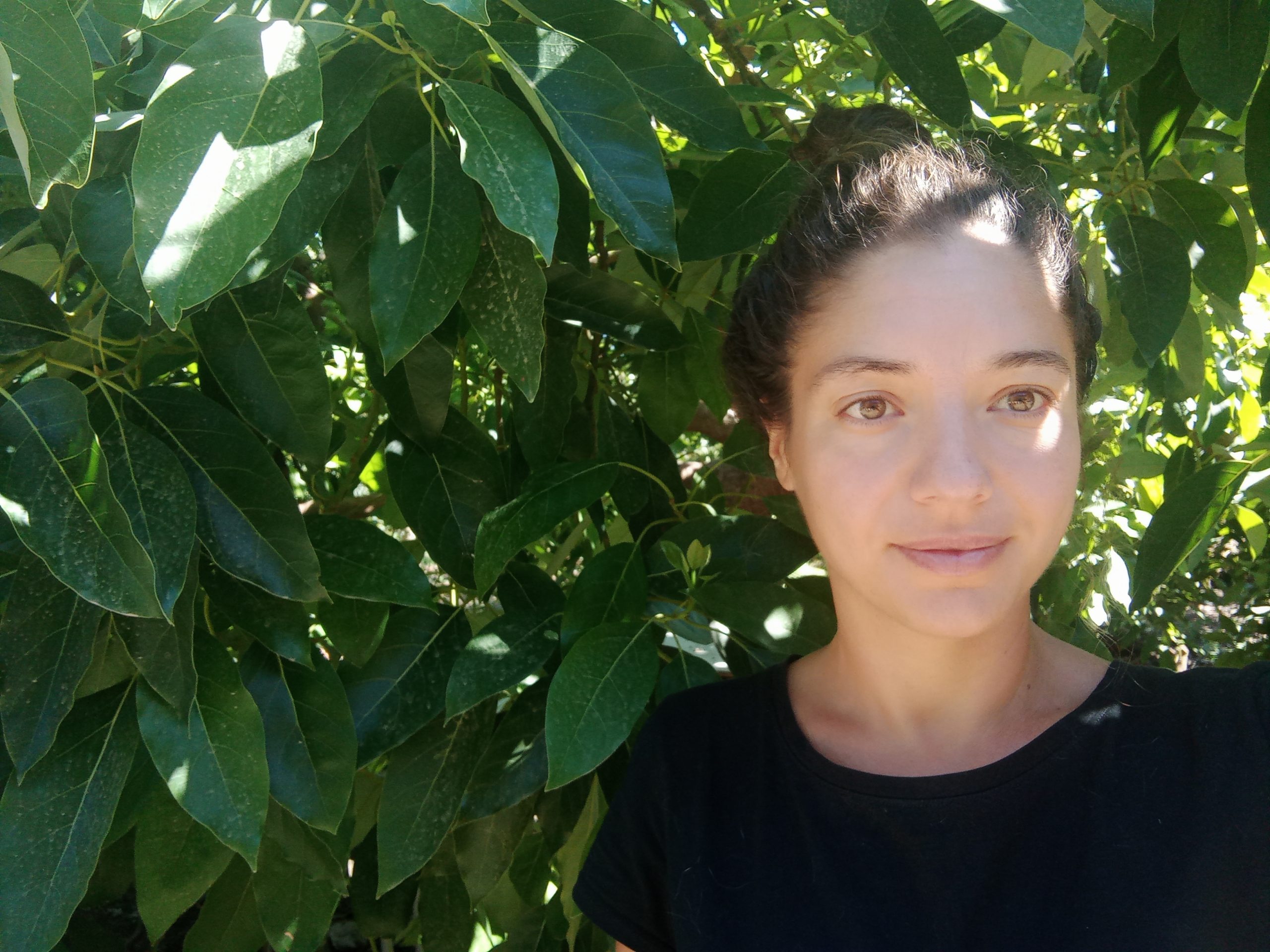 Belén Rodríguez - Aguacates Ecológicos del Guadalhorce (Málaga)